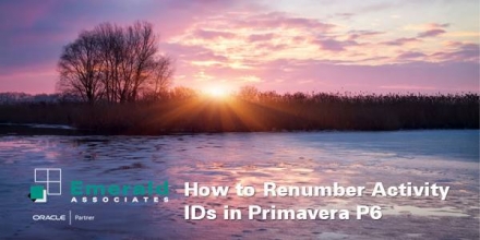How to Renumber Activity IDs in Primavera P6